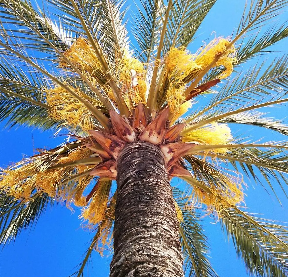 Proche Mer Charmant Appartement Roquebrune-Cap-Martin
